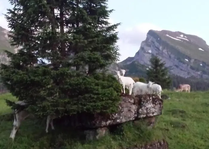 Hof Unterstein By Interhome Dom wakacyjny *