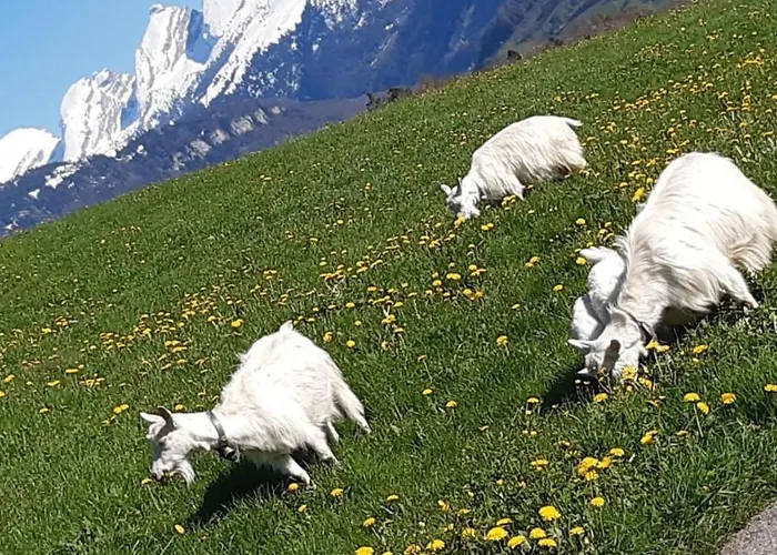 Dom wakacyjny Hof Unterstein By Interhome