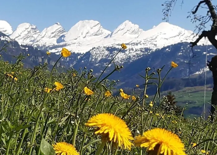 Hof Unterstein By Interhome * Krummenau