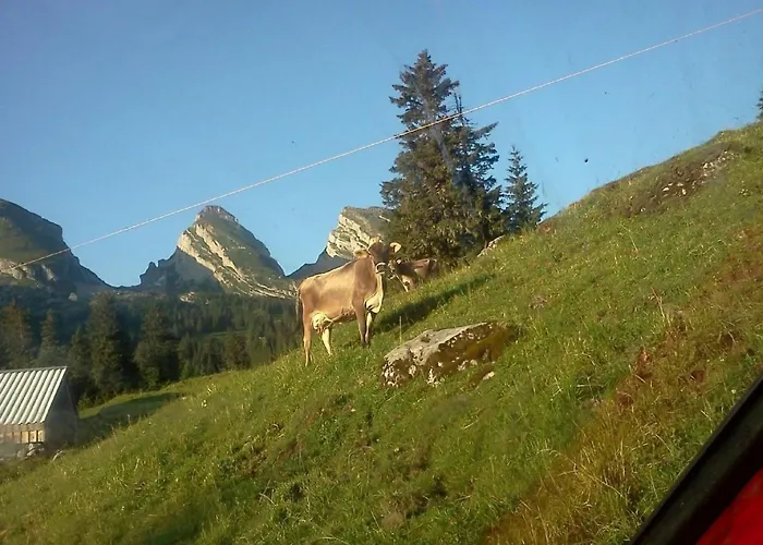 Hof Unterstein By Interhome Krummenau