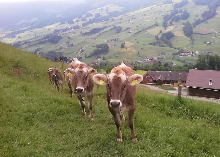 Hof Unterstein By Interhome Krummenau