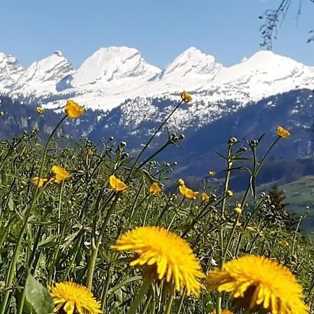 Hof Unterstein By Interhome * Krummenau