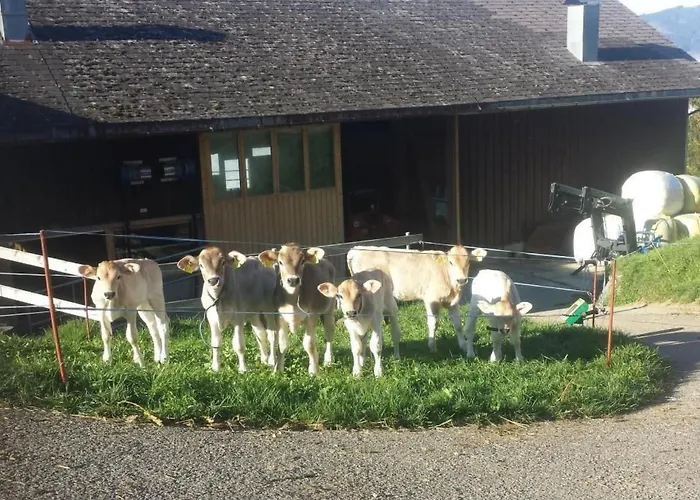 Hof Unterstein By Interhome Krummenau