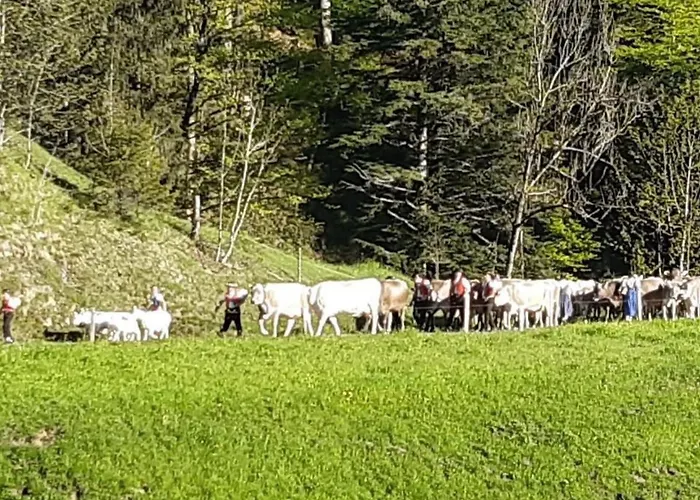 Vakantiehuis Hof Unterstein By Interhome