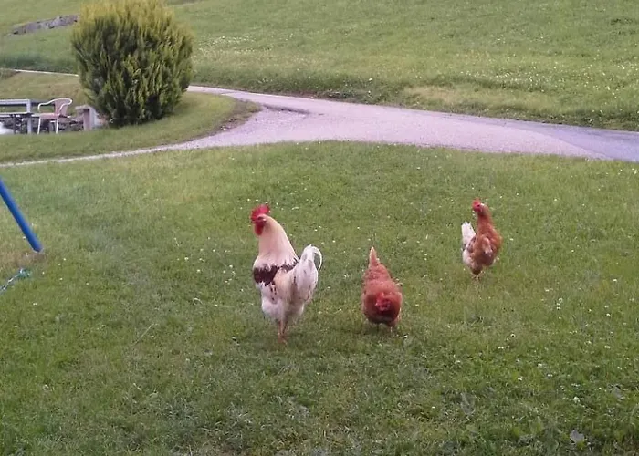 Hof Unterstein By Interhome Vakantiehuis *