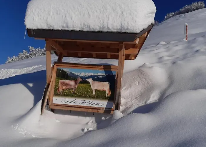 Hof Unterstein By Interhome * Krummenau