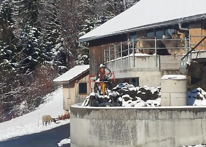 Vakantiehuis Hof Unterstein By Interhome *